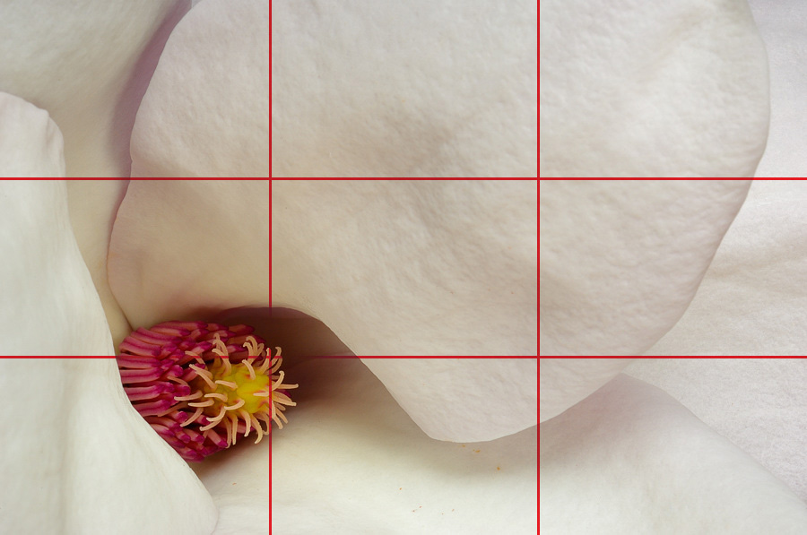 With Rule of Thirds grid superimposed.