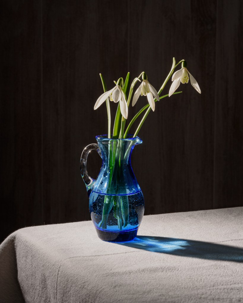 Snowdrops in afternoon light